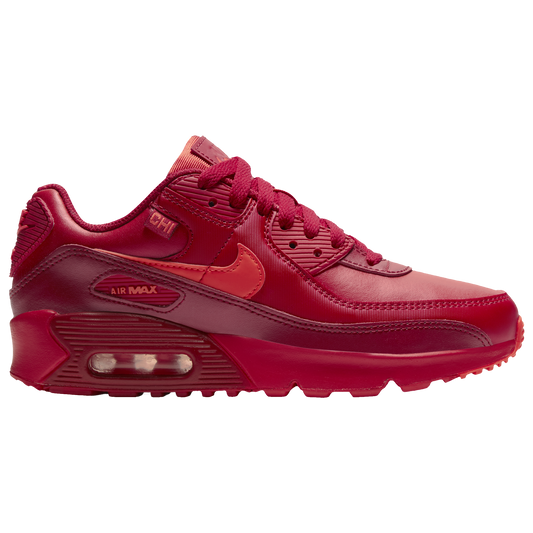 Nike Boys Air Max 90 City Special Chicago DH0149-600