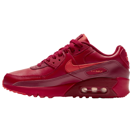 Nike Boys Air Max 90 City Special Chicago DH0149-600